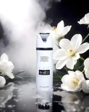 Kings Royal Collection