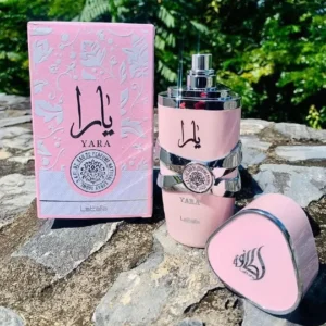 Kings Royal Collection