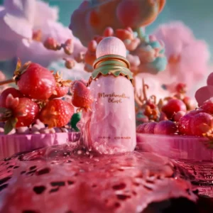 Kings Royal Collection